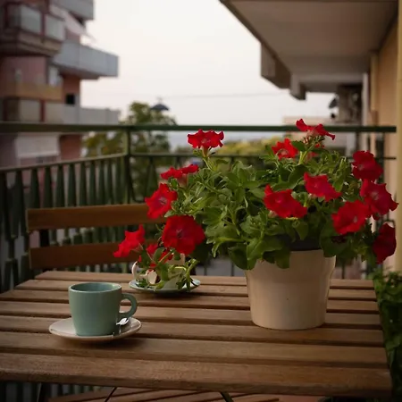 Guest house La Casa Di Pepp