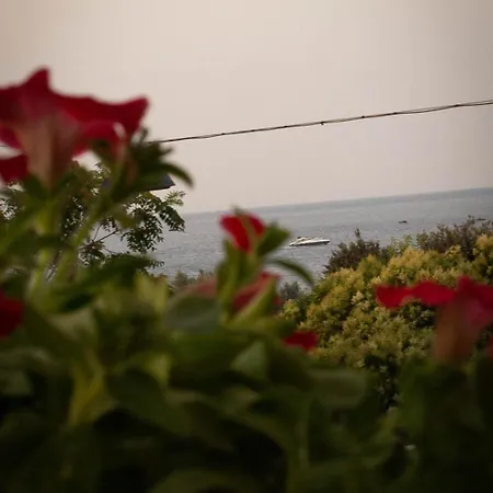 La Casa Di Pepp Monopoli